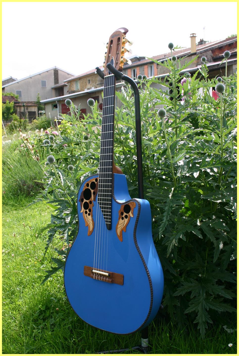 Ovation Rare Guitars Series