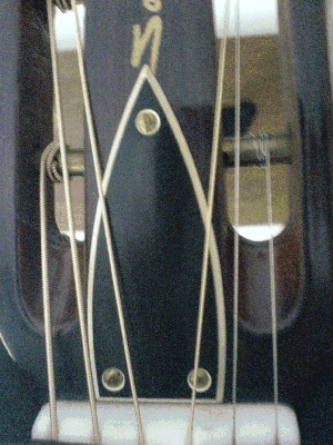 DSC00555.JPG