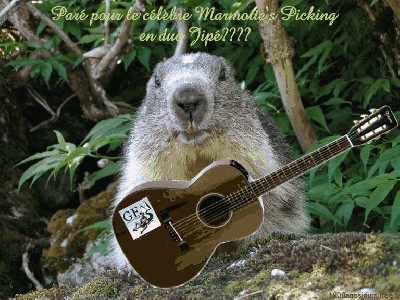 Marmotte's Takamine.jpg