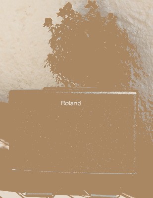 Roland AC 60 003.jpg