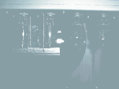 P1010005.JPG