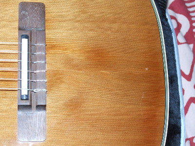 Ovation (4).JPG