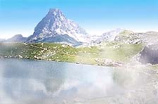 ossauc.jpg