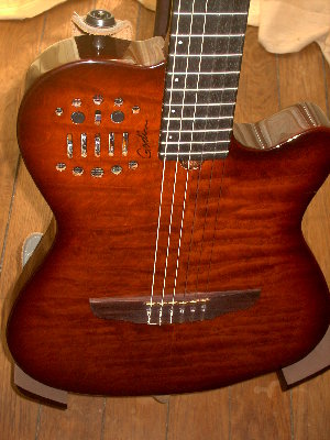 godin multiac.JPG