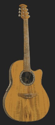 CK047ovation.jpg