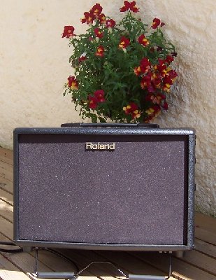 Roland AC 60 003.jpg