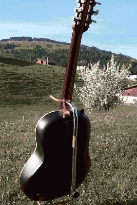 Copie de Country artist 020.jpg