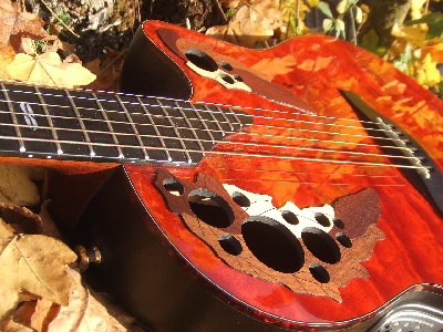 ovation collector 2002.JPG