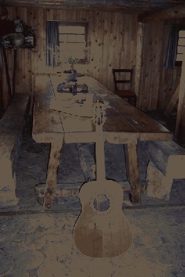 Copie de Country artist 102.jpg
